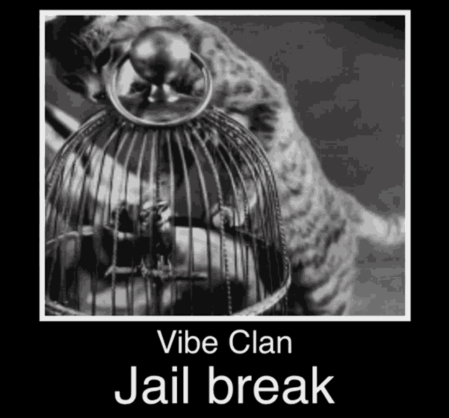 Vibe Vibing GIF