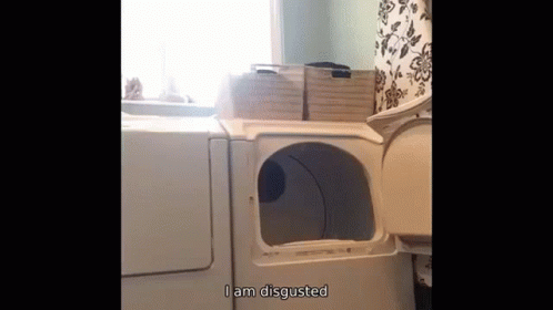 Vine I Am Disgusted I Am Revolted GIF