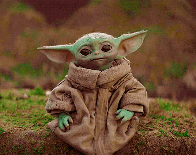 Vingrogu GIF