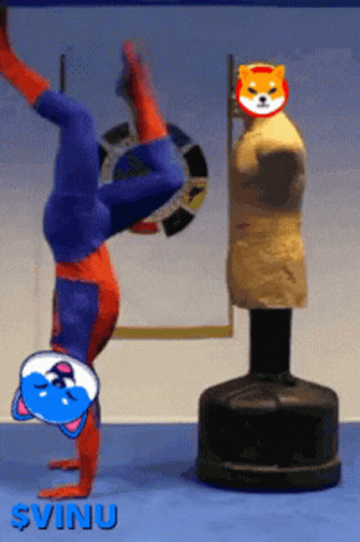 Vinu Vita Inu GIF