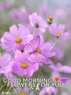 Violet Butterfly GIF