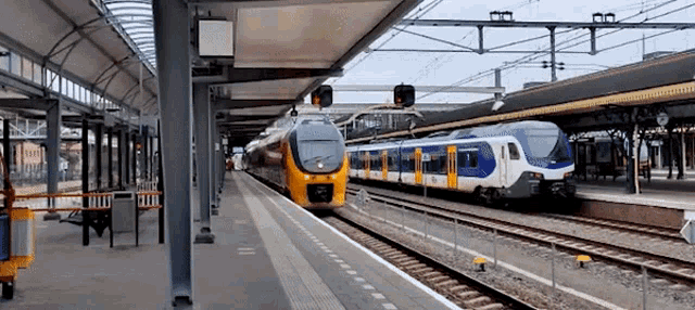 Virm Icm GIF