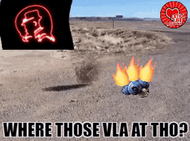 Vla Elrp GIF