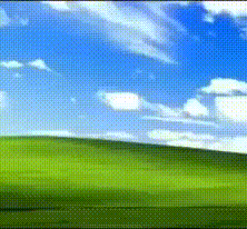 Vtnc Piranha GIF