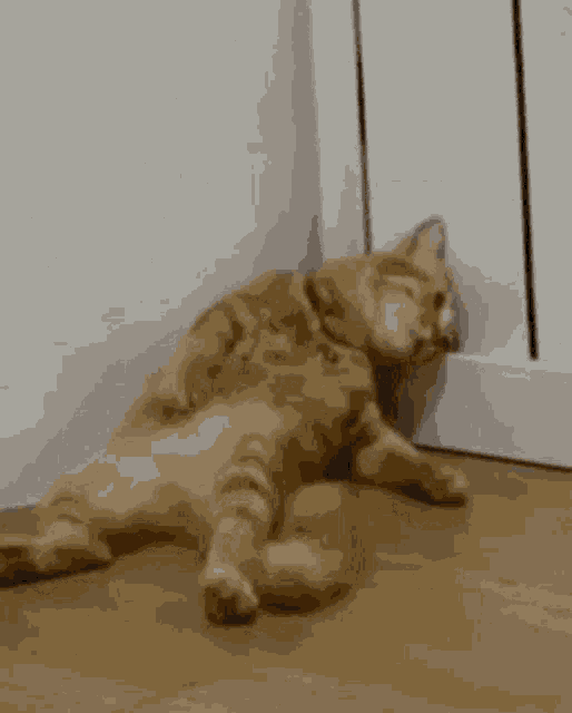Vto GIF