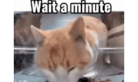 Wait A Minute Sticker