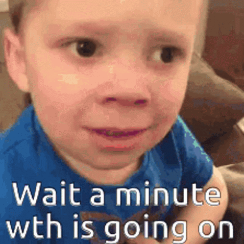 Wait A Minute Wth GIF