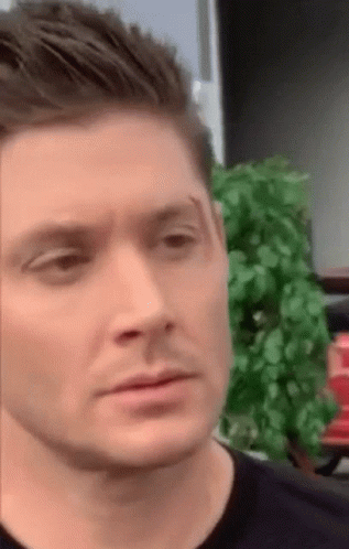 Wait What Raised Eyebrow GIF