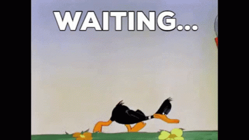 Waiting Patiently GIF