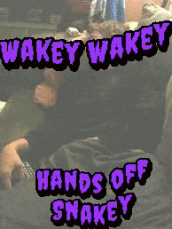 Wakey Wakey Hands Off Snakey GIF