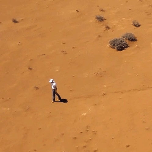 Walking In The Desert Parker Mccollum GIF