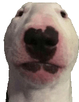 Walter Sticker