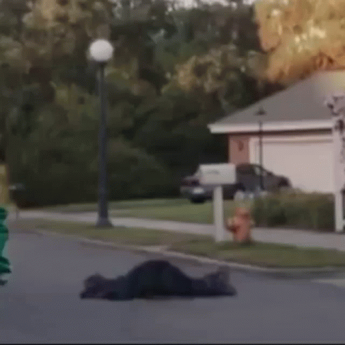 Wandavision Agatha Harkness GIF