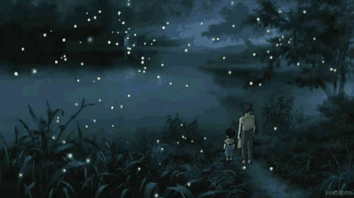 Watching The Fireflies GIF