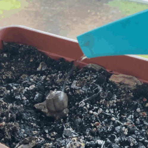Water On Rock Pouring Water On A Rock Day Two GIF
