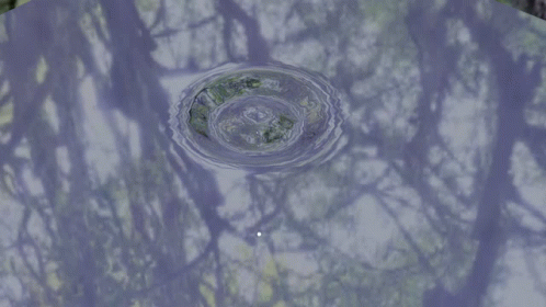 Water Water Drop GIF