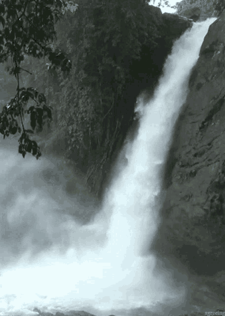 Waterfall Baby Who Ever Made It Is A Expert GIF
