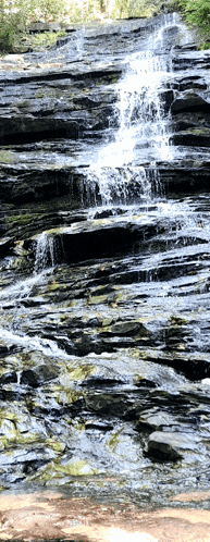 Waterfall Cascade GIF
