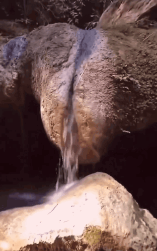 Waterfall Meme GIF