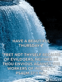 Waterfalls Nature GIF