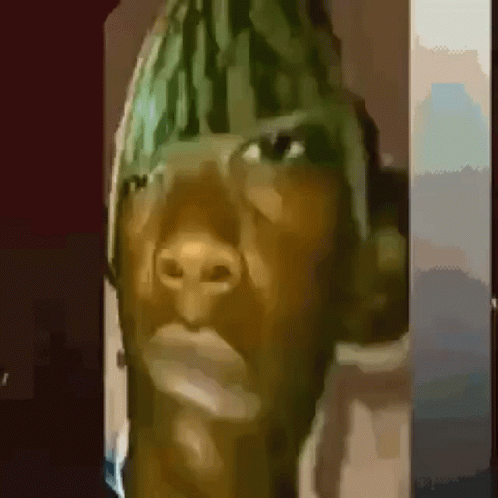 Watermelon GIF