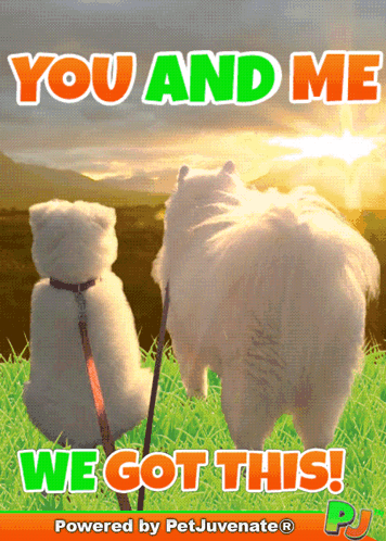 We Got This Pj You And Me We Got This Pj GIF