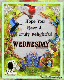 Wednesday Good Morning Wednesday GIF