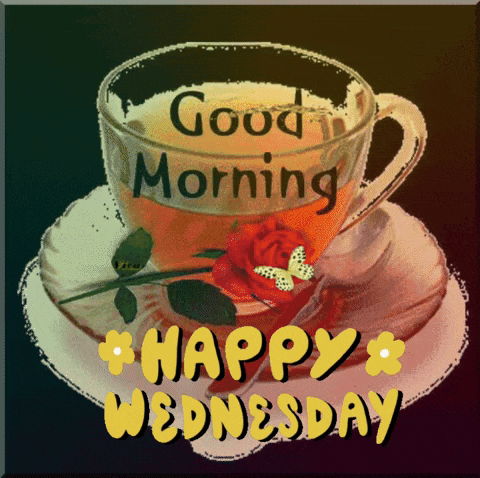 Wednesday GIF