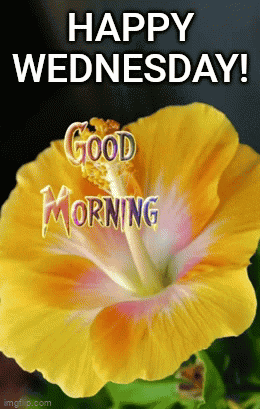 Wednesday Morning GIF