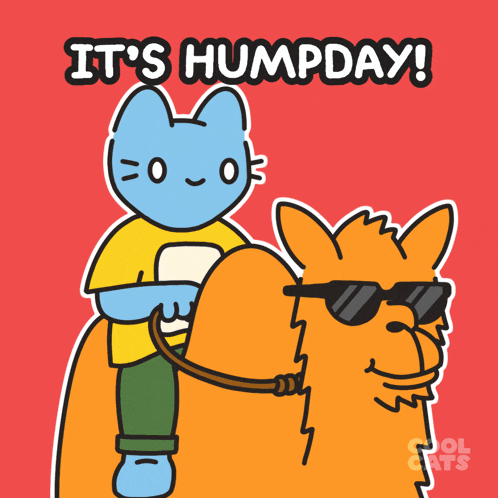 Wednesday Weekday GIF