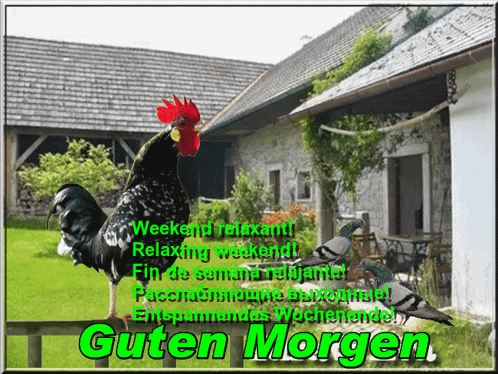 Week End GIF