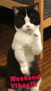 Weekend GIF