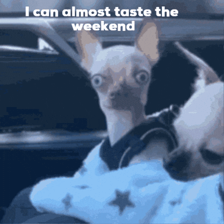 Weekend Is Almost Here Its Friday Eve GIF