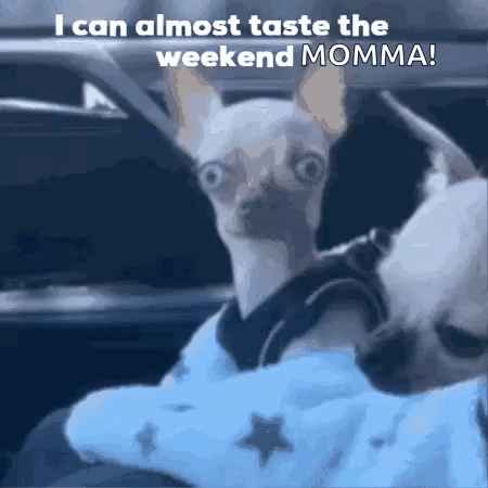 Weekend Is Almost Here Its Friday Eve GIF
