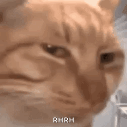 Weird Stare GIF