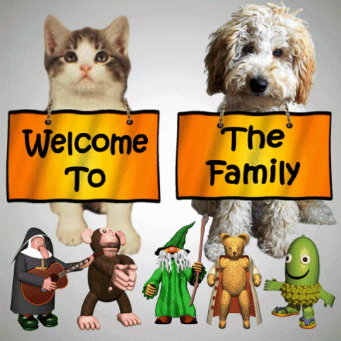 Welcome To The Family You Are Accepted GIF
