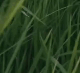 Well Well Well Well GIF