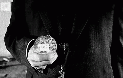 Welles Kane GIF