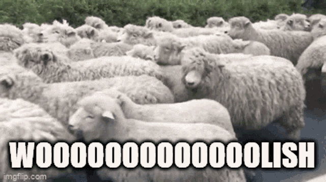 Wg Wolfgame GIF