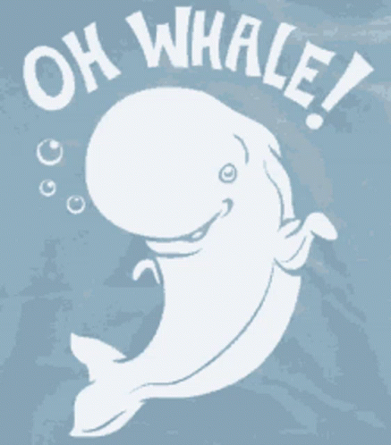 Whale Whale Sharks GIF