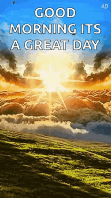 What A Sunny Day GIF