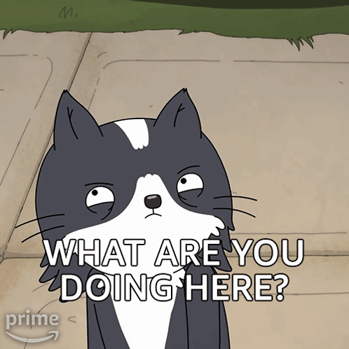 What Are You Doing Here Kevin GIF