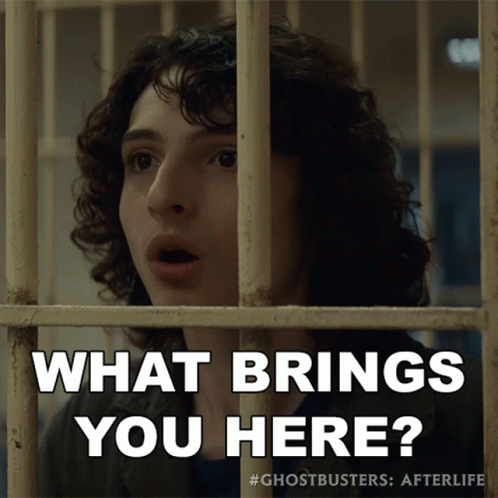 What Brings You Here Trevor GIF