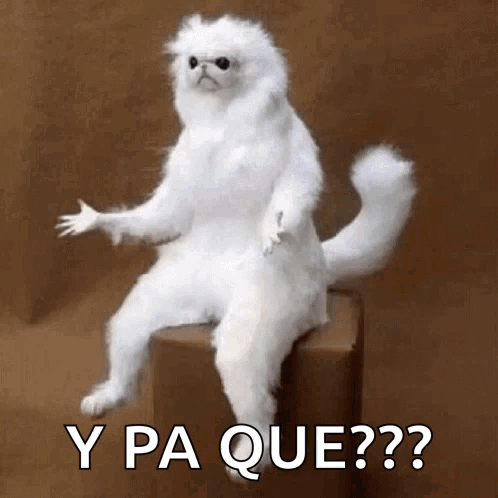 What Confused GIF