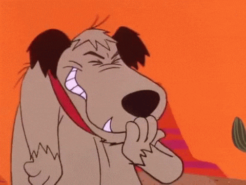 What Ever GIF