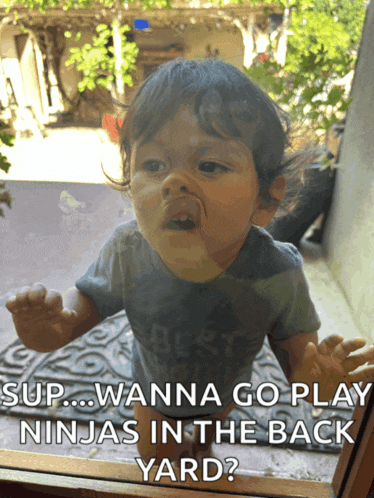 What Say What Meme