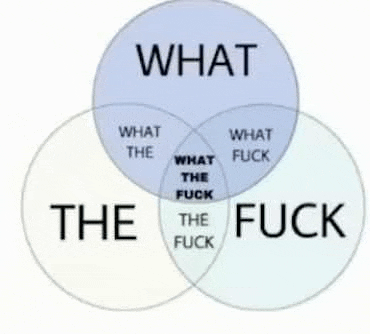 What The Fuck Meme