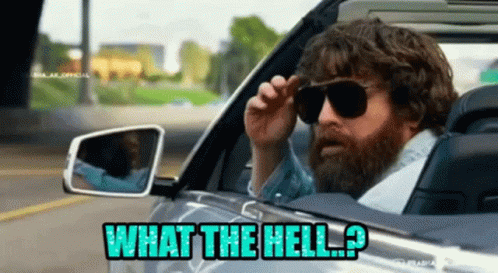 What The Hell GIF