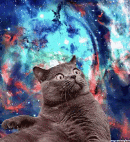 What The GIF