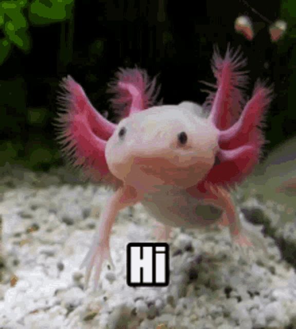 What You See When You Look In Your Closet GIF